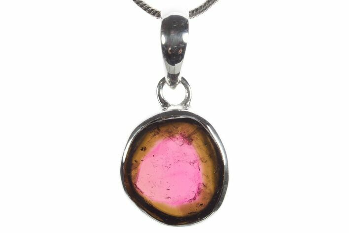 Polished Watermelon Tourmaline Pendant (Necklace) - Sterling #353972